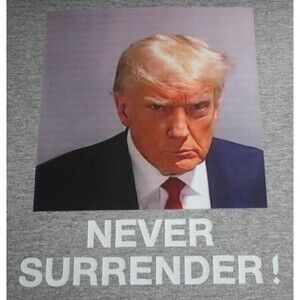 Never Surrender T-Shirt Trump Mug Shot MAGA 2024 Womens Sz Plus 3XL Gray